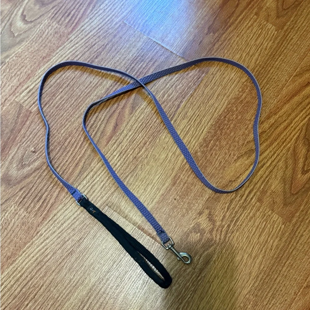 Pet | Dog Leash | Purple | Lupine Pet